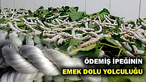 Ödemiş ipeğinin emek dolu yolculuğu