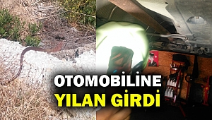 Otomobilin motor bölümüne giden yılanı çıkarmak kolay olmadı...