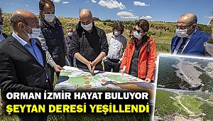Şeytan Deresi’nde fidanlar boy vermeye başladı
