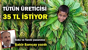 Tütün üreticisi 35 TL istiyor