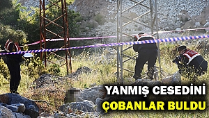 Yüksek gerilim hattında yanmış erkek cesedi... Neden kablo hırsızlığı mı?