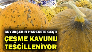 Yunan onu da sahiplenmeden... Çeşme kavunu tescilleniyor