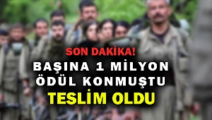 1 milyon ödüllü PKK'lı Hakkari'de teslim oldu...
