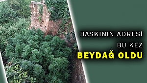 Beydağ'da uyuşturucu operasyonu