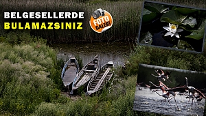Bu güzellik belgesellerde bile yok!