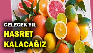 CHP'li vekillerden narenciye uyarısı!