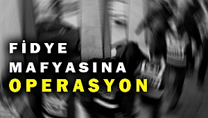 İzmir'de mafya operasyonu; 15 zanlı gözaltında