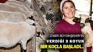 İzmir kırsalında “başka bir tarım” modeli gelişiyor