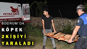 Sahibi dahil 2 kişiyi yaralayan köpek iğneyle sakinleştirildi
