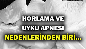 Uyku apnesinin bir tetikleyicisi de...