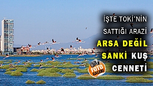 Başkan Tugay o fotoğrafları paylaştı ve isyan etti!