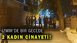 Biri bıçakla, biri pompalı tüfekle öldürüldü