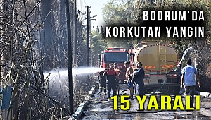 Bodrum'da turistik tesislere sıçrayan yangında 15 kişi yaralandı