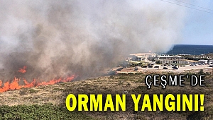 Çeşme'de orman yangını çıktı