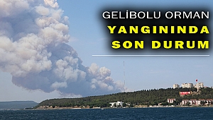Gelibolu'daki orman yangını söndürüldü mü?