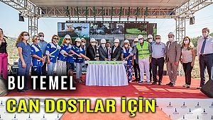 İzmir'de sokak hayvanları için yeni merkez kuruluyor