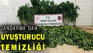 İzmir Jandarması, hint keneviri temizliği yaptı