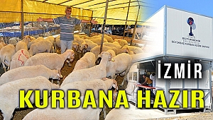 Kesim ücretleri belli oldu, kaçan hayvan ekibi hazır!