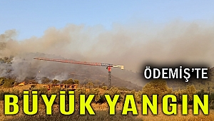 Ödemiş'te büyük orman yangını
