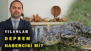 Prof. Dr. Ayaz: Yılanların sık görülmesinin deprem habercisi olduğu kanısı...