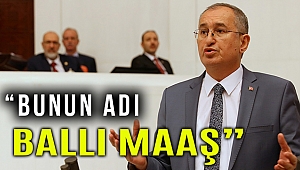 Sertel: RTÜK Başkanı dört köşe, aylık maaşı 30 bini geçti