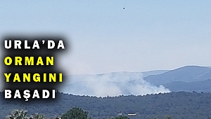 Son Dakika! Urla'da orman yangını çıktı
