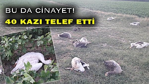Tarlasına giren 40 kazı öldürdü!