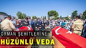 Tire'deki kazada şehit olan ormancılara hüzünlü veda