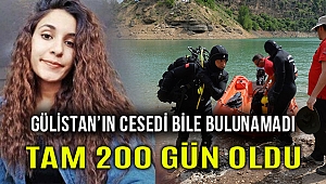 Tunceli'de kaybolan Gülistan Doku'dan 200 gündür iz yok!