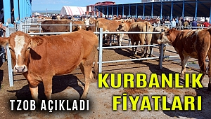 TZOB, kurbanlık fiyatlarını açıkladı