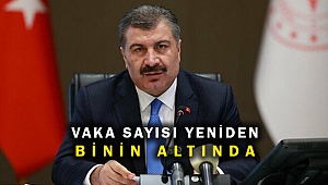 Vaka sayısı yeniden binin altında