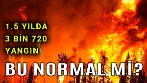 1.5 yılda tam 3 bin 720 orman yangını!