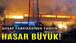 Ahşap fabrikası yangında büyük hasar gördü