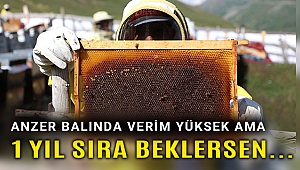 Anzer balında yüksek verim bekleniyor