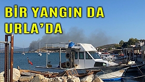 Bir yangın da Urla Çeşmealtı'nda...