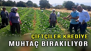 CHP’li Polat: Çiftçi kredi ile yaşamaya mahkum!