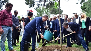 Bir yılda 100 bin metrekare yeşil alan