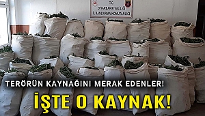 Diyarbakır'da 1 milyon 119 bin kök kenevir ve 756 kilogram esrar ele geçirildi