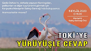 İzmir Büyükşehir doğaseverleri Gediz Deltasına bekliyor