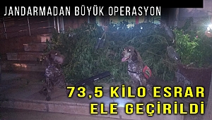 İzmir'de 73,5 kilogram esrar ile 392 kök Hint keneviri ele geçirildi