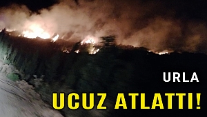 İzmir'de otluk alandaki yangın söndürüldü