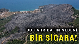 İzmir'in Menderes ilçesindeki yangınla ilgili bir şüpheli tutuklandı