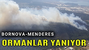 İzmir'in ormanları 2 ayrı ilçede yanıyor!