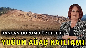 Karaburun'a RES ve GES tehdidi, yine yüzlerce ağaç kesildi