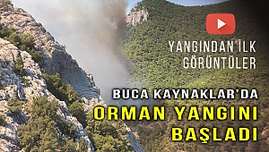 Kaynaklar'da orman yangını başladı!