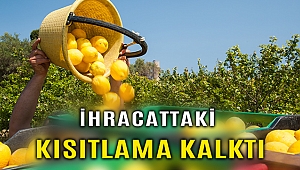 Limon ihracatındaki kısıtlama kaldırıldı