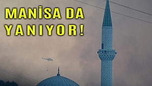 Manisa'daki orman yangını evlere ulaştı, hayvanlar telef oldu