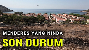 Menderes'teki orman yangını söndürüldü mü?
