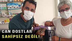 Narlıdere’de can dostlar sahipsiz değil!