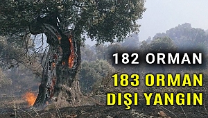 Ormancıya dur durak yok!